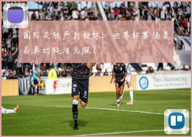 国际足联严打假球：世界杯赛场是否真的纯洁无瑕？