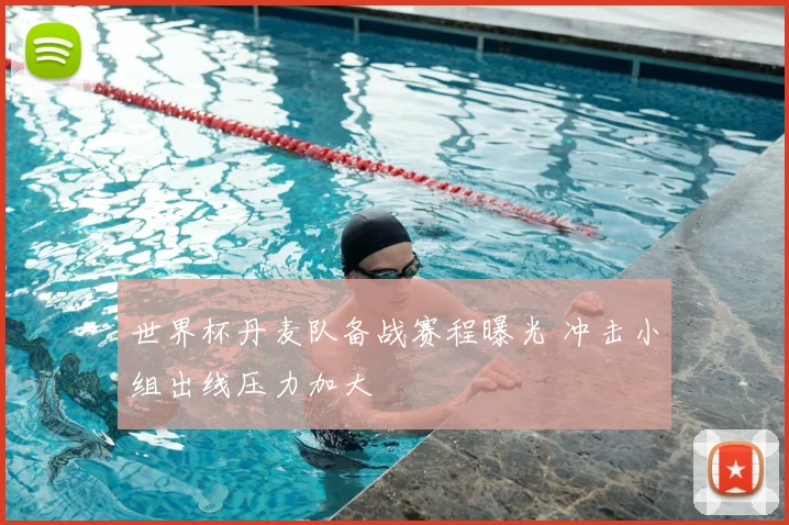 世界杯丹麦队备战赛程曝光 冲击小组出线压力加大