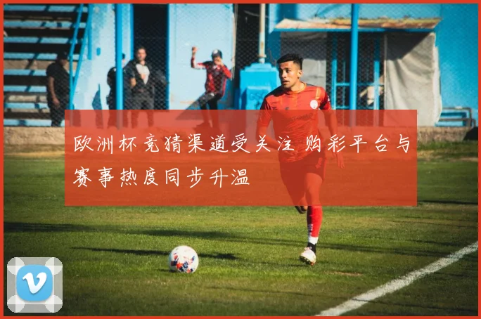 欧洲杯竞猜渠道受关注 购彩平台与赛事热度同步升温