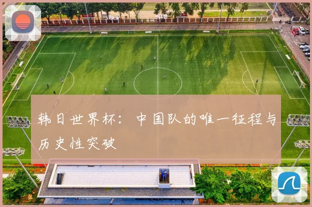 韩日世界杯:中国队的唯一征程与历史性突破
