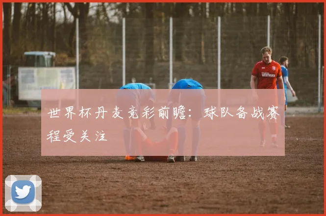 世界杯丹麦竞彩前瞻：球队备战赛程受关注