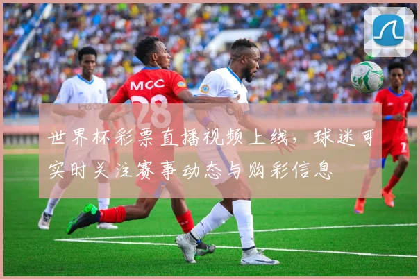 世界杯彩票直播视频上线，球迷可实时关注赛事动态与购彩信息
