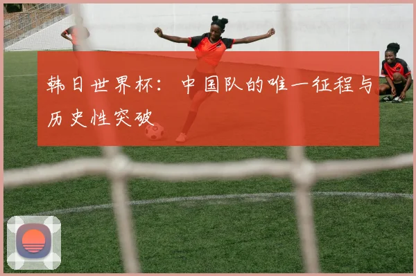 韩日世界杯:中国队的唯一征程与历史性突破