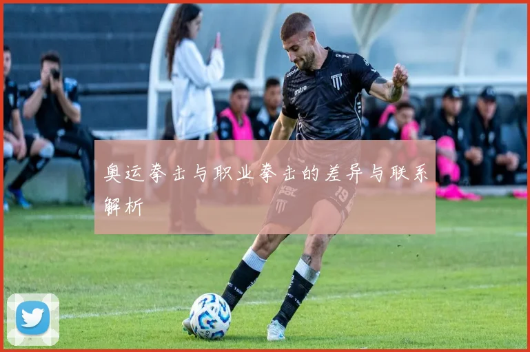 奥运拳击与职业拳击的差异与联系解析