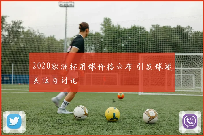2020欧洲杯用球价格公布 引发球迷关注与讨论