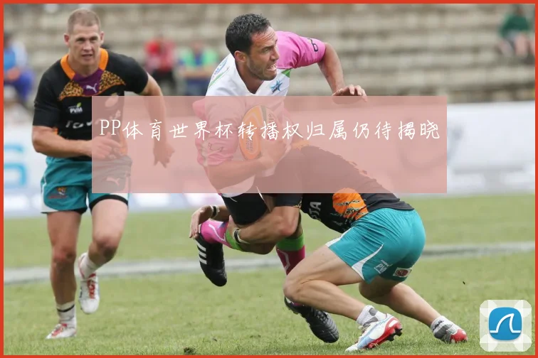 PP体育世界杯转播权归属仍待揭晓
