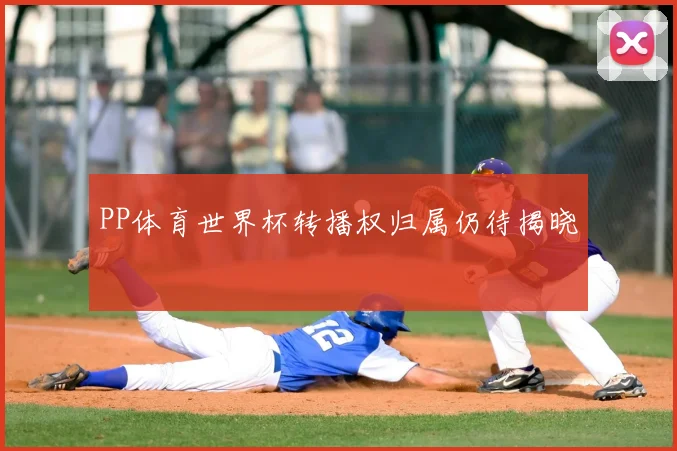 PP体育世界杯转播权归属仍待揭晓