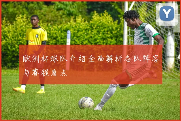 欧洲杯球队介绍全面解析各队阵容与赛程看点