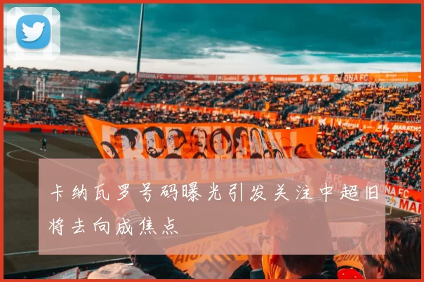 卡纳瓦罗号码曝光引发关注中超旧将去向成焦点