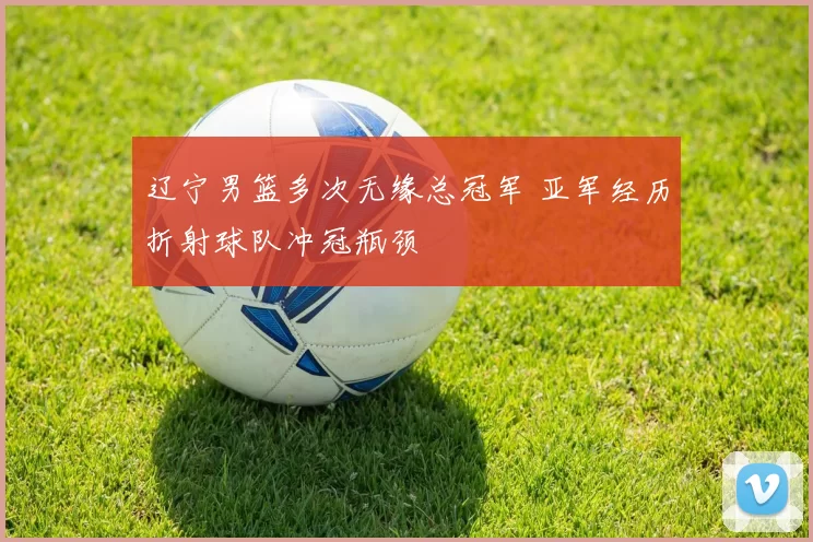 辽宁男篮多次无缘总冠军 亚军经历折射球队冲冠瓶颈