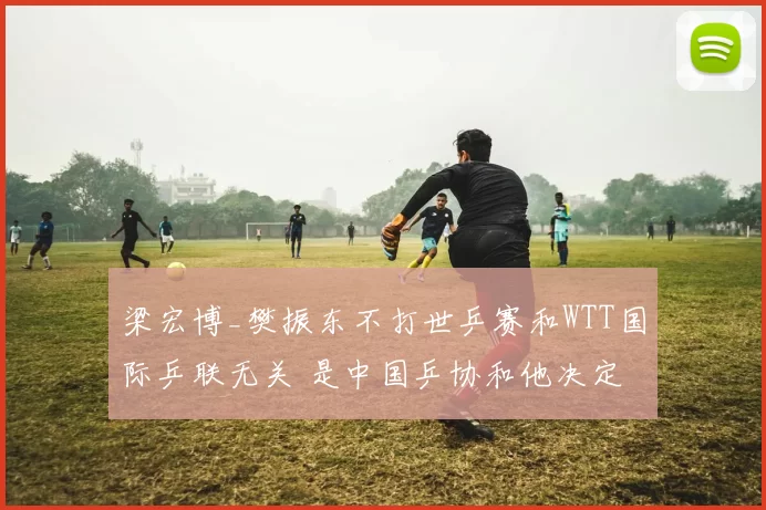 梁宏博_樊振东不打世乒赛和WTT国际乒联无关 是中国乒协和他决定