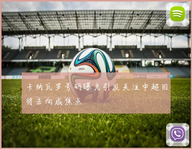 卡纳瓦罗号码曝光引发关注中超旧将去向成焦点