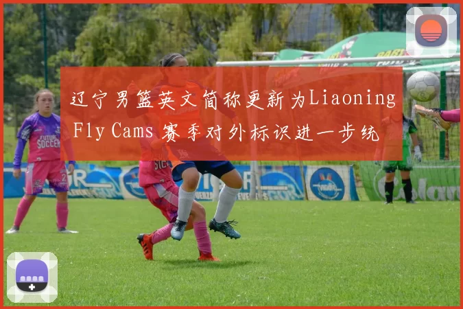 辽宁男篮英文简称更新为Liaoning Fly Cams 赛季对外标识进一步统一