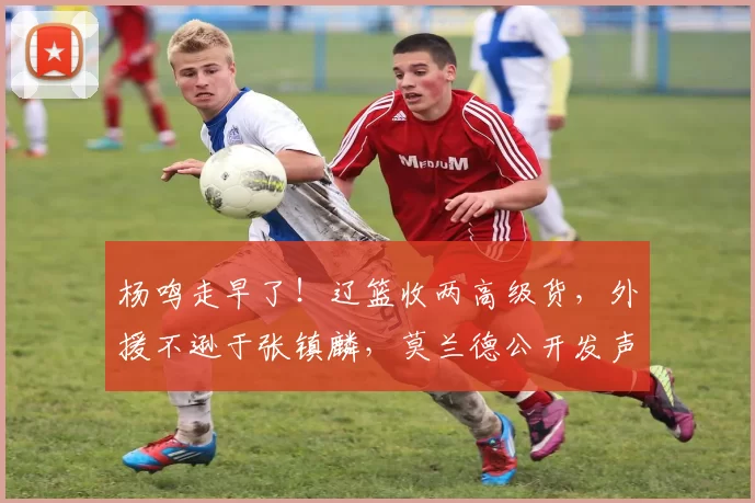 杨鸣走早了！辽篮收两高级货，外援不逊于张镇麟，莫兰德公开发声