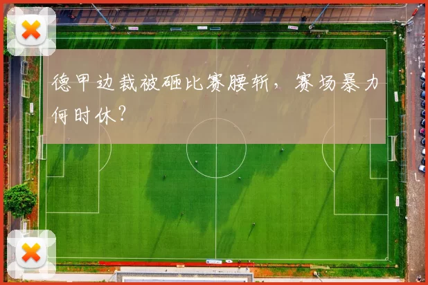 德甲边裁被砸比赛腰斩,赛场暴力何时休?